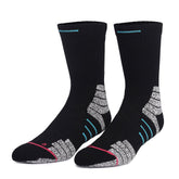 - 5x Pack Elevation Sock - Ornate - AEVEAx
